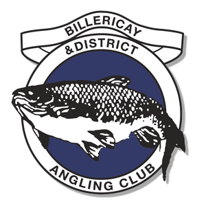 Billericay and District Angling Club