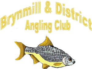 Brynmill and District Angling Club