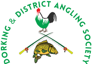 Dorking and District Angling Society