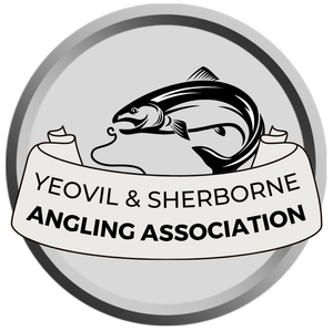 Yeovil and Sherborne Angling Association