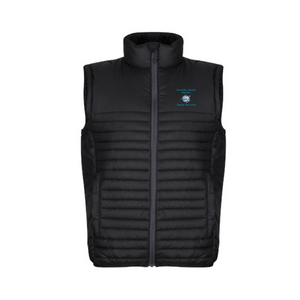 Premium Insulated Bodywarmer - DAA