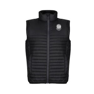 Premium Insulated Bodywarmer - DCAC